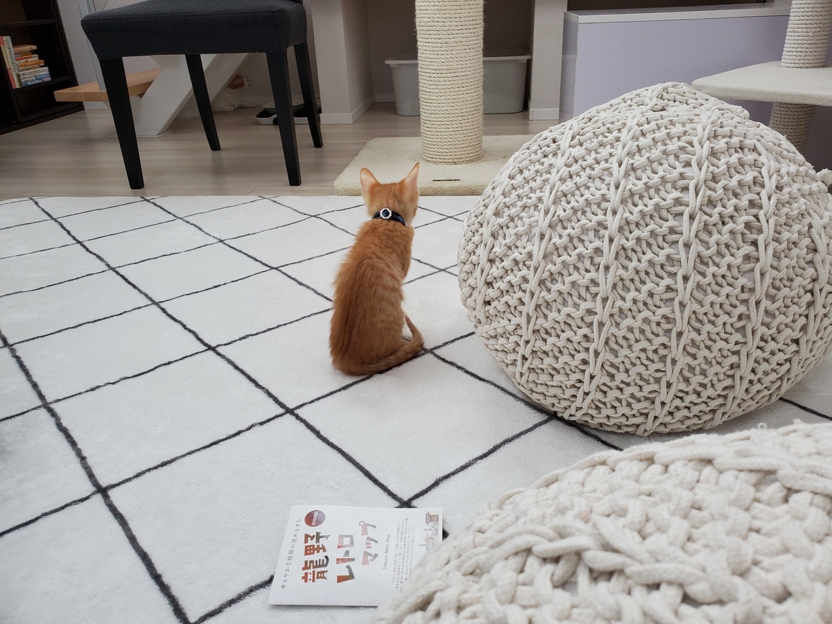 f:id:uxus:20200705181222j:plain f:id:uxus:20200705181222j:plain