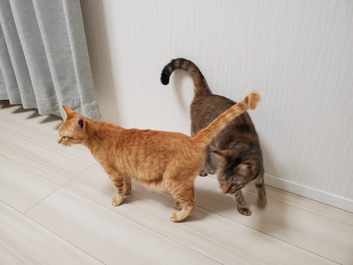 f:id:uxus:20200718204401j:plain