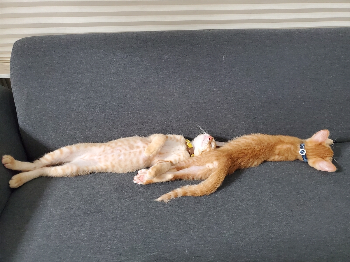 f:id:uxus:20200718205857j:plain