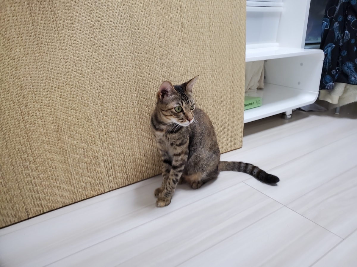 f:id:uxus:20200718211759j:plain