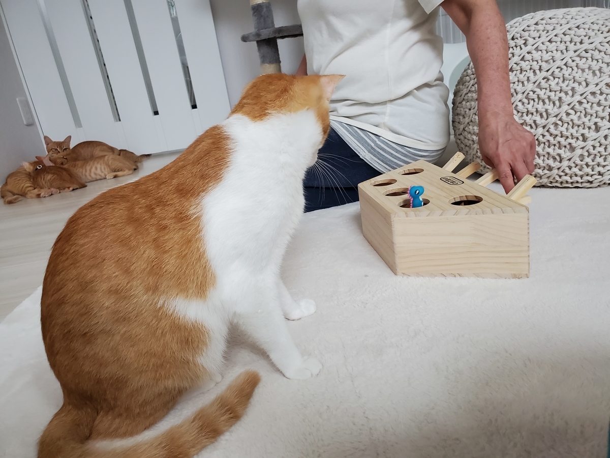 f:id:uxus:20200723164638j:plain f:id:uxus:20200723164638j:plain