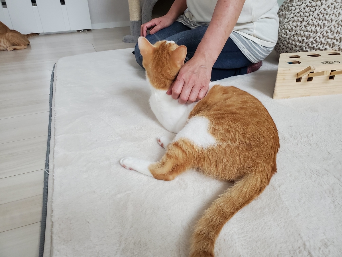 f:id:uxus:20200723164746j:plain