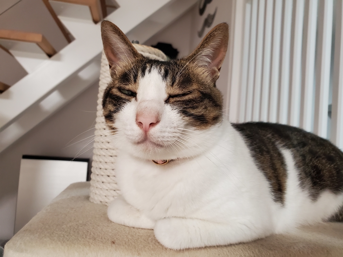 f:id:uxus:20200729211302j:plain