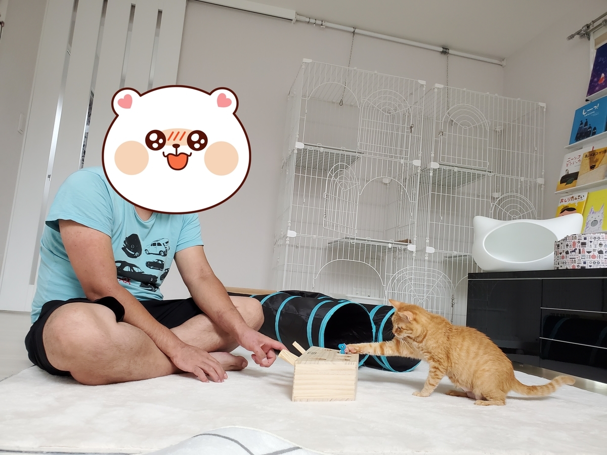 f:id:uxus:20200815104640j:plain