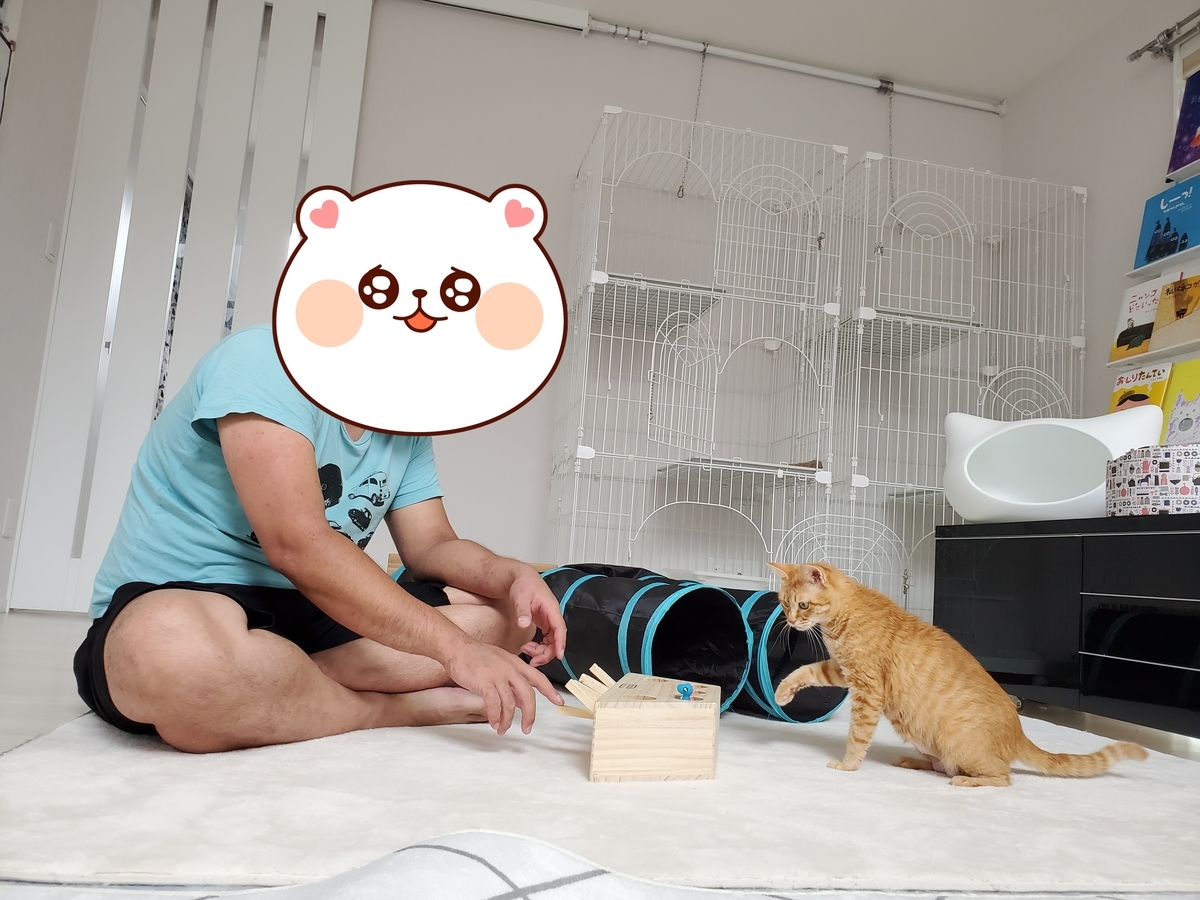 f:id:uxus:20200815104648j:plain