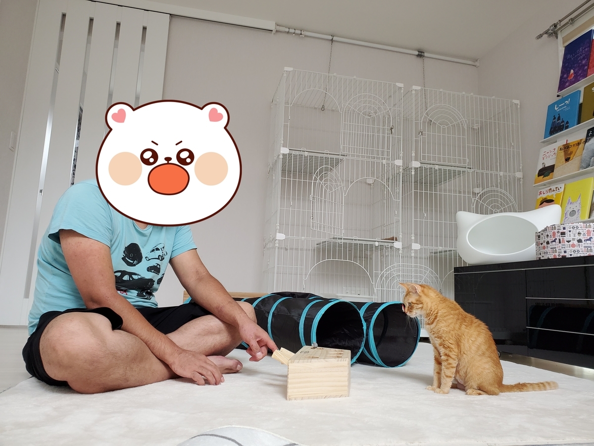 f:id:uxus:20200815104709j:plain