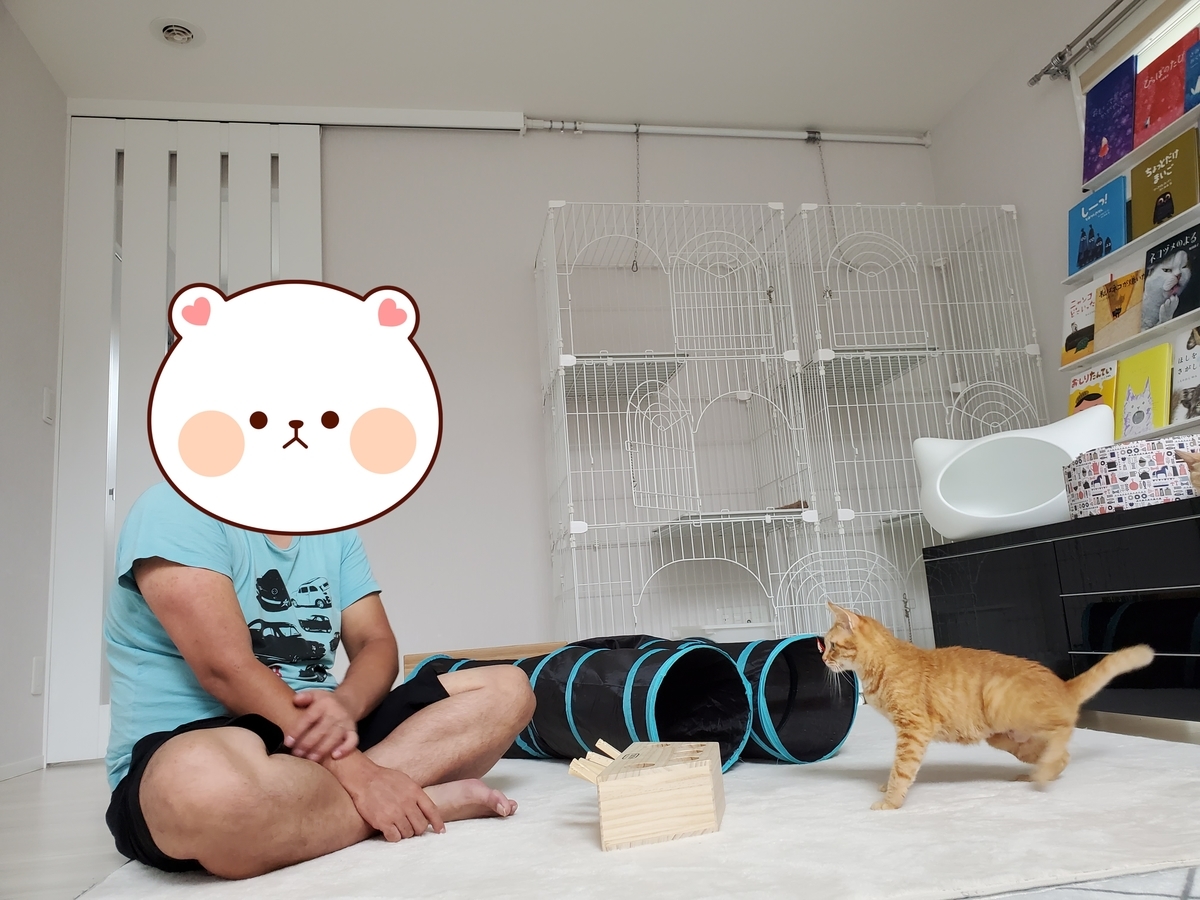 f:id:uxus:20200815104714j:plain