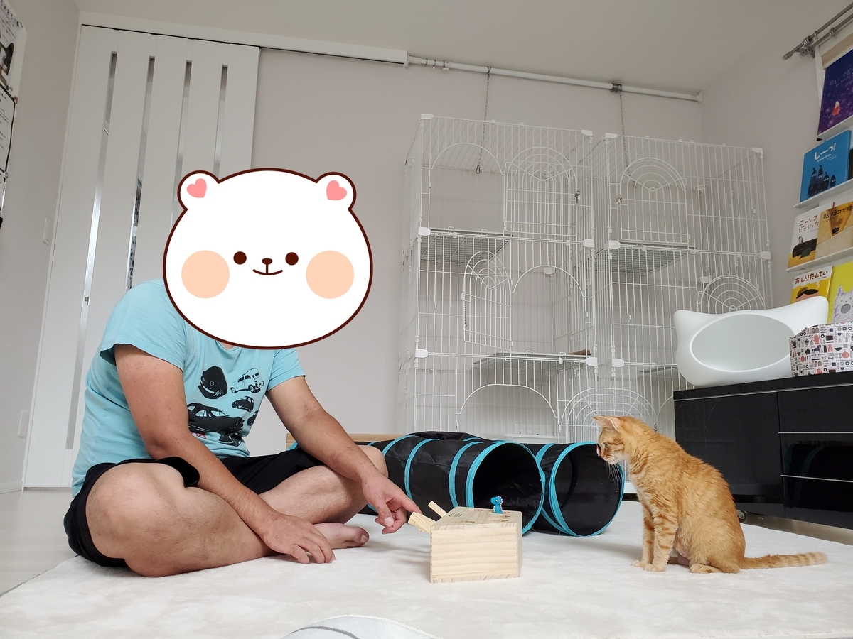 f:id:uxus:20200815104717j:plain