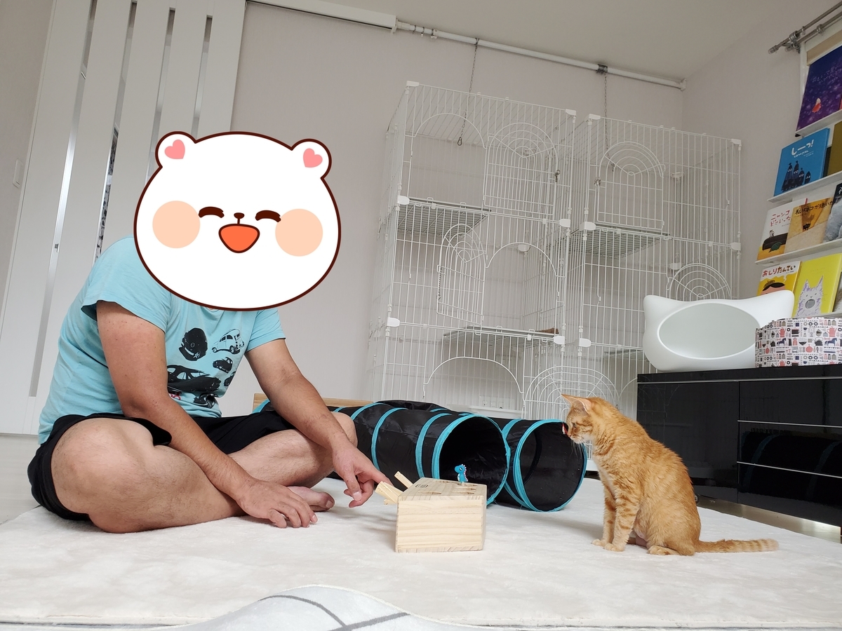 f:id:uxus:20200815110500j:plain