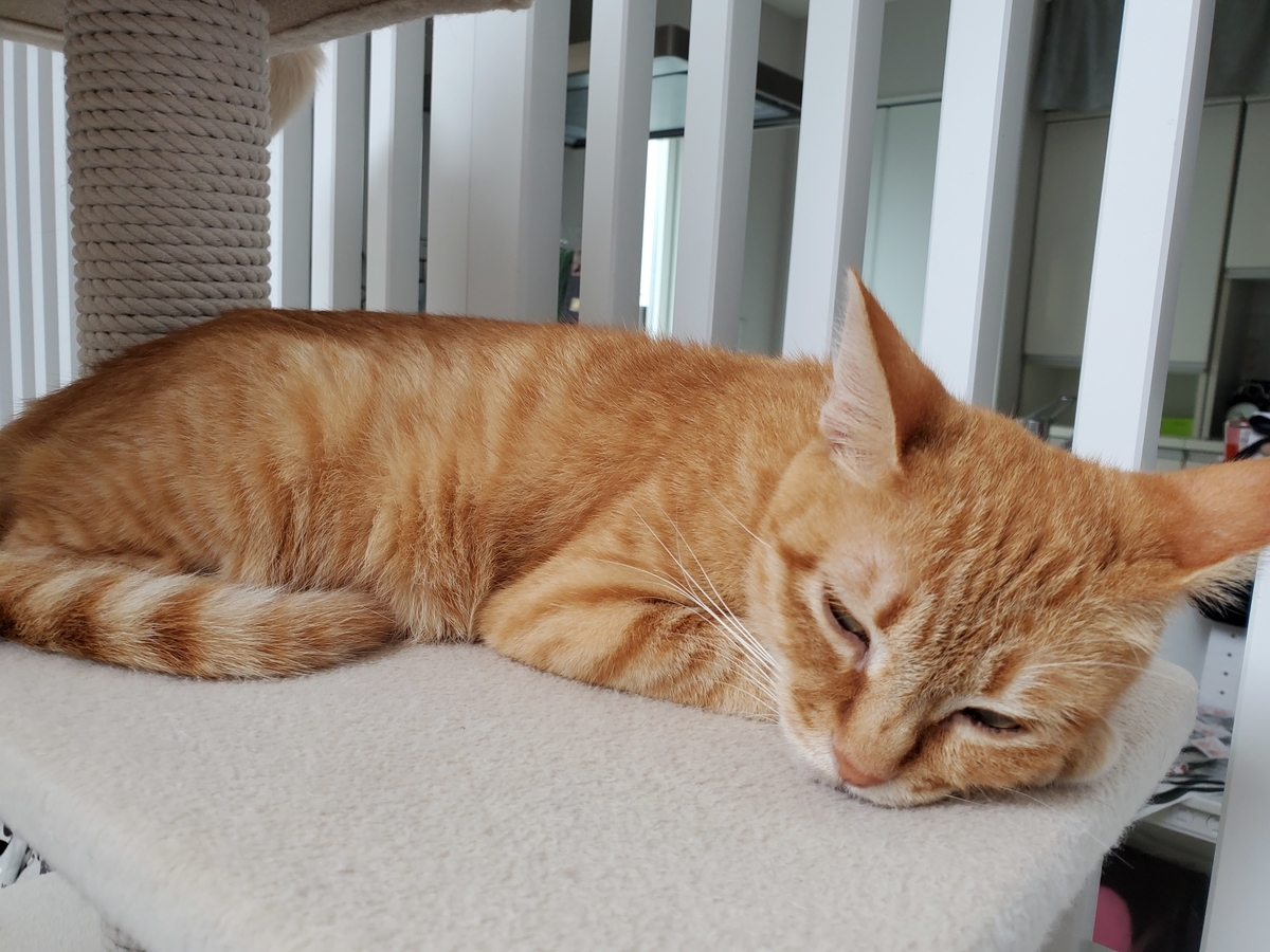 f:id:uxus:20200815112123j:plain