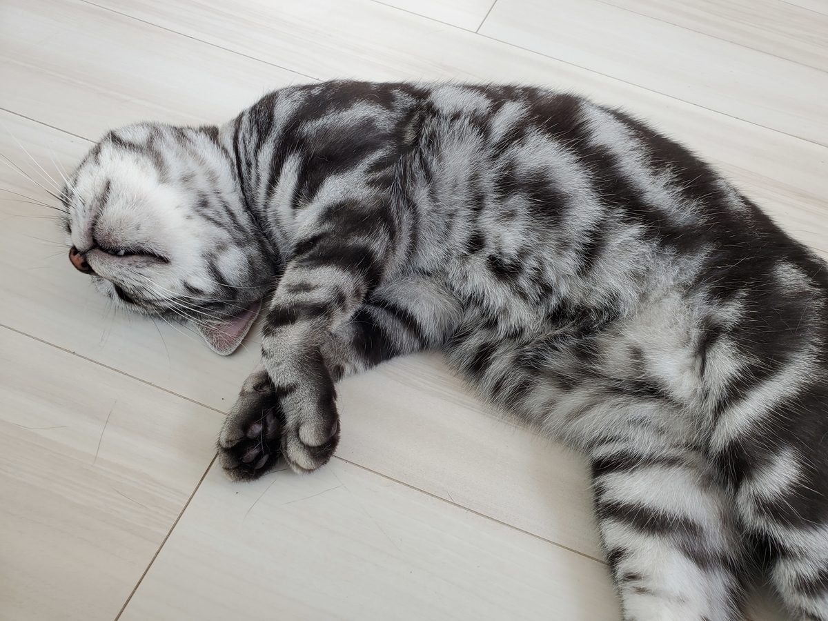 f:id:uxus:20200822162141j:plain