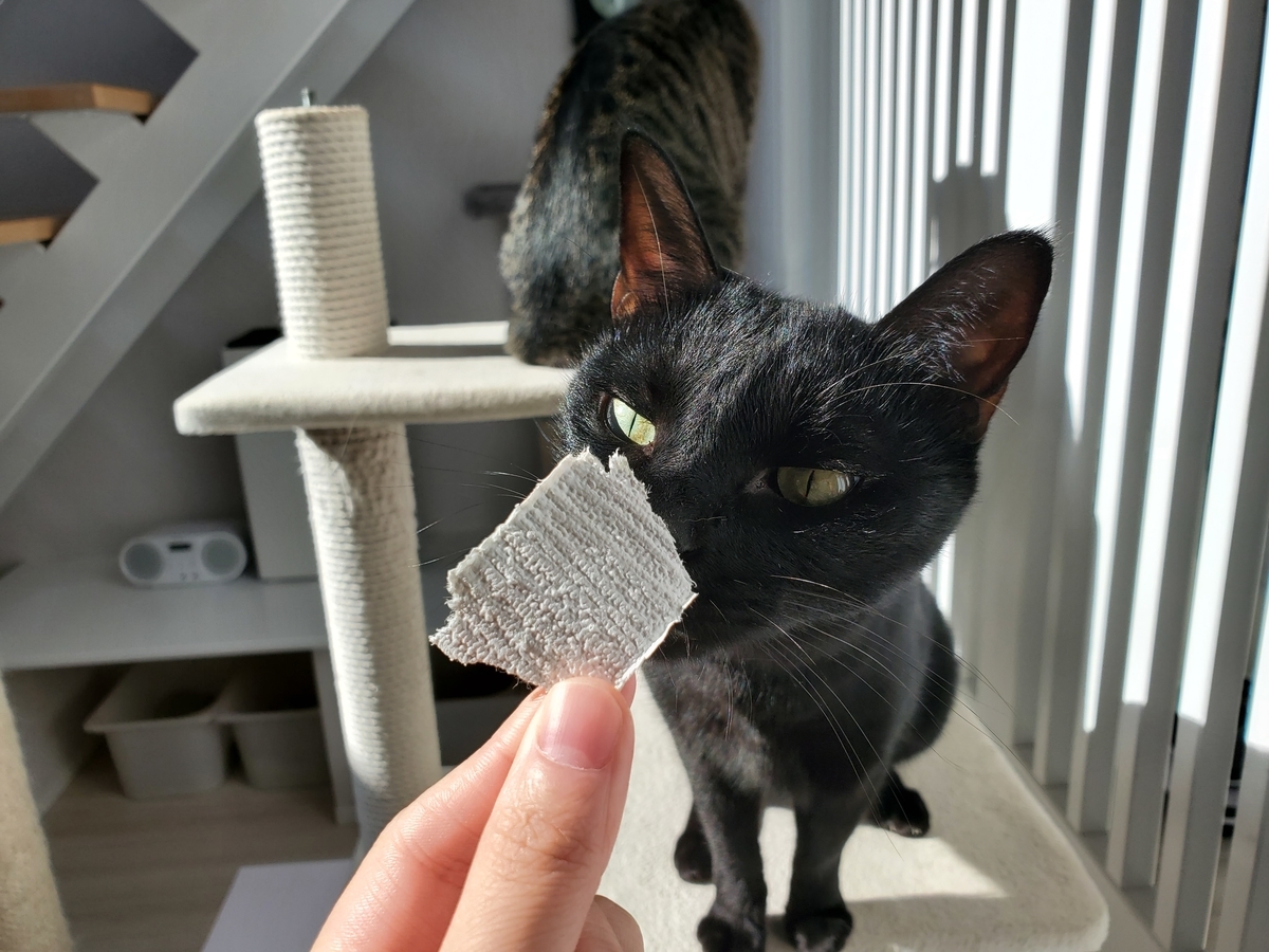 f:id:uxus:20201104122742j:plain