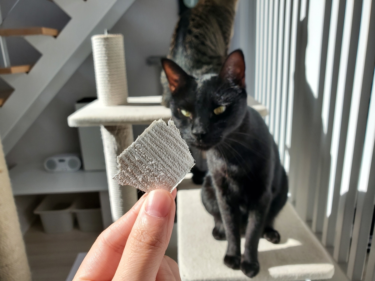 f:id:uxus:20201104122851j:plain