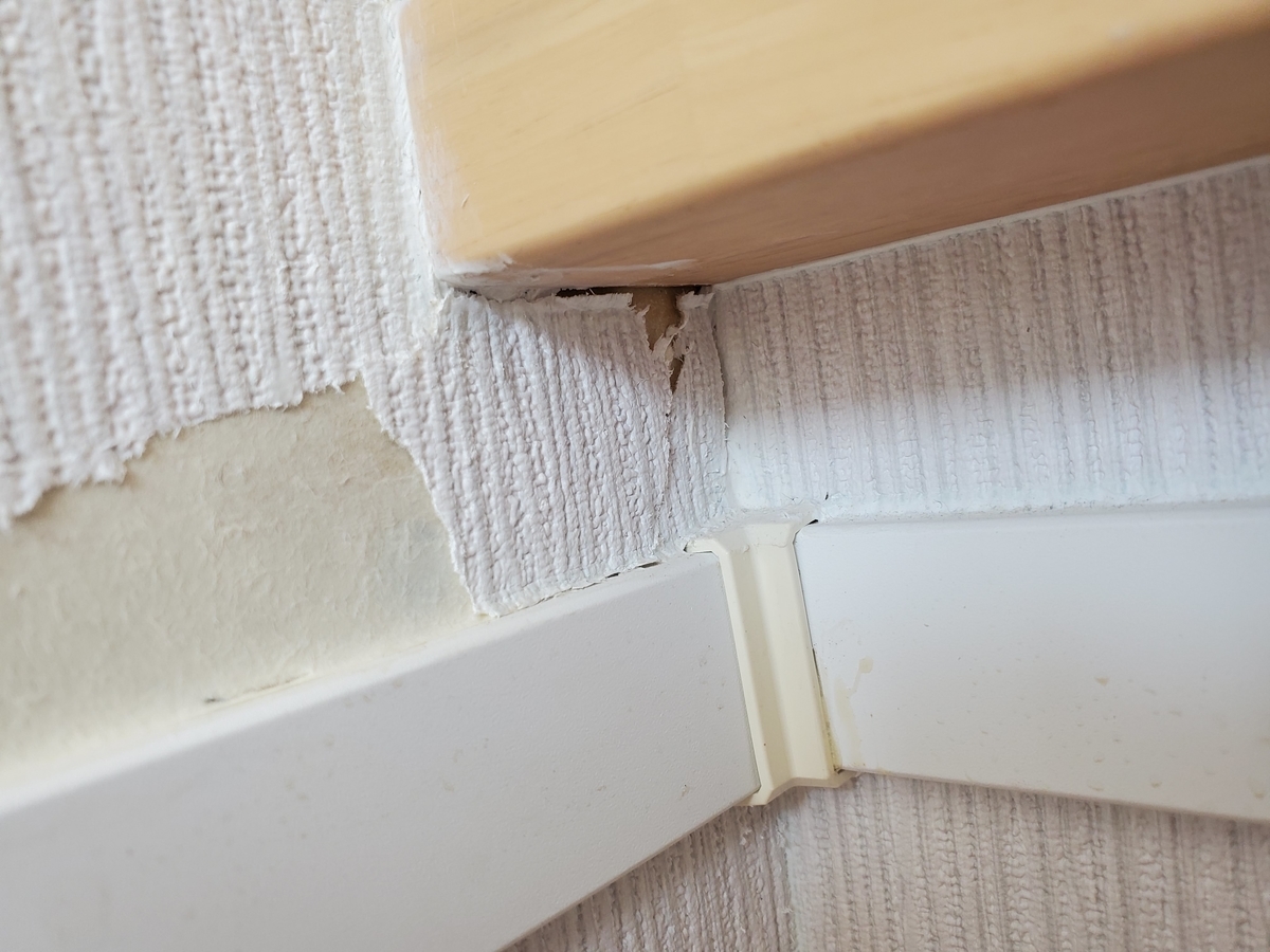 f:id:uxus:20201104123228j:plain