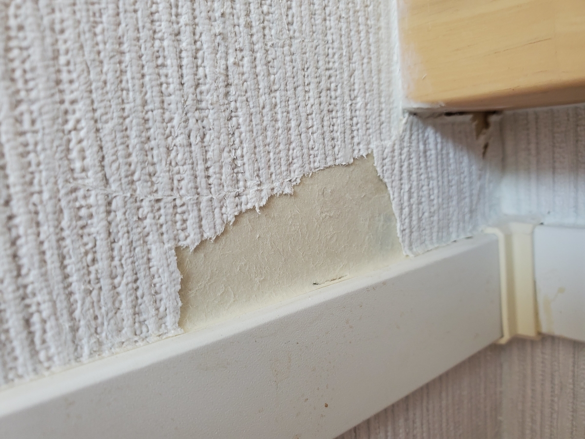 f:id:uxus:20201104123305j:plain