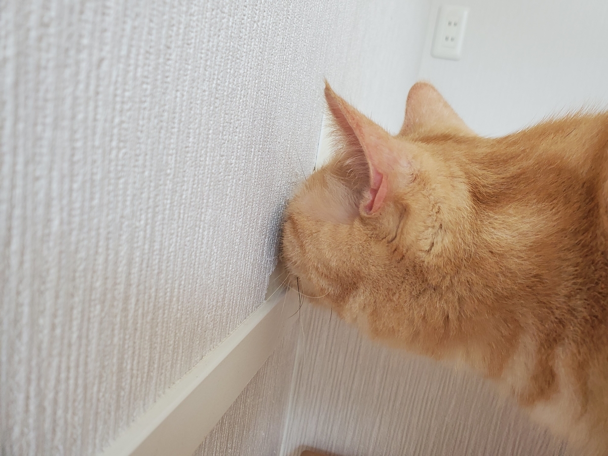 f:id:uxus:20201104123524j:plain