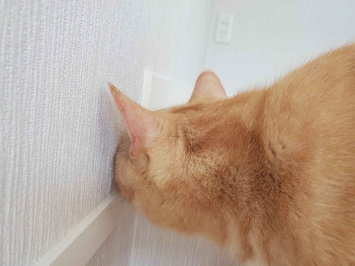 f:id:uxus:20201104123528j:plain