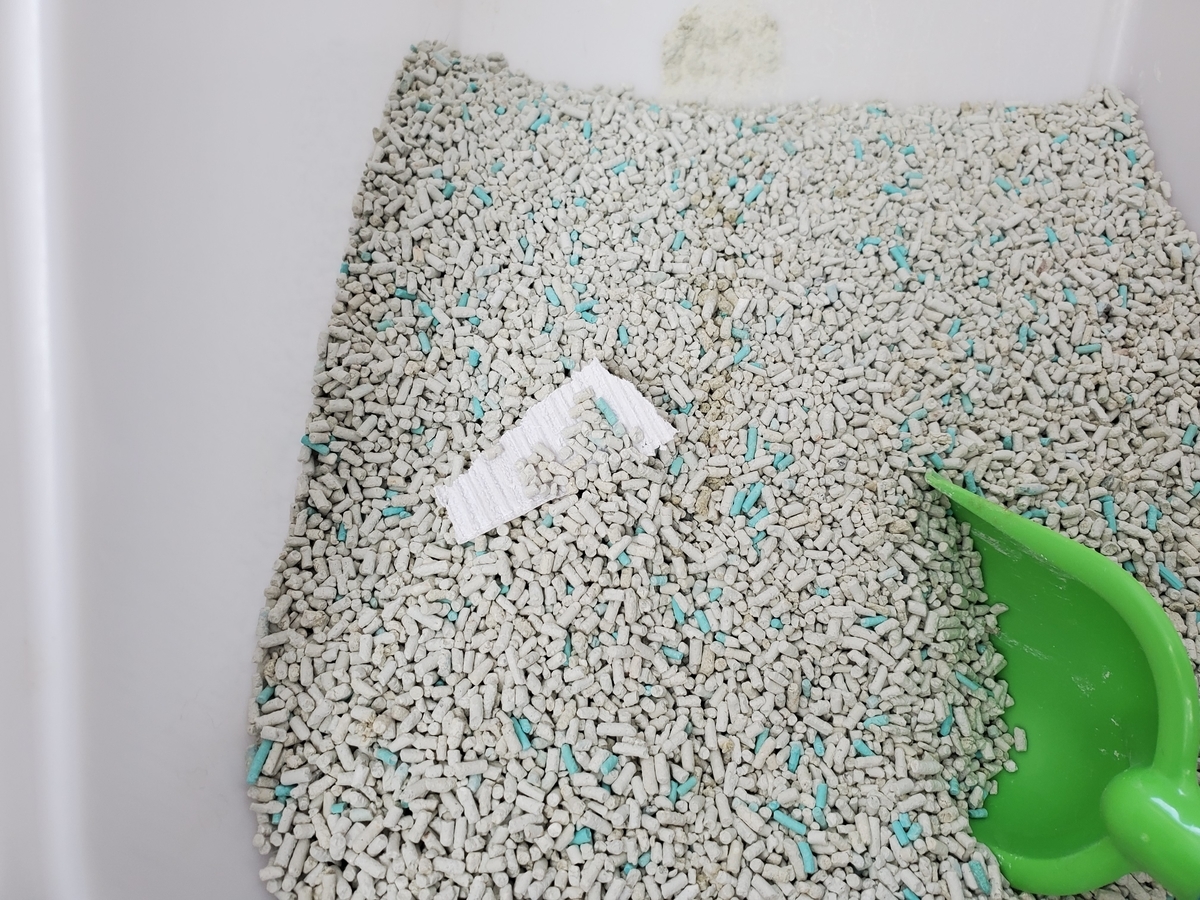 f:id:uxus:20201104123727j:plain