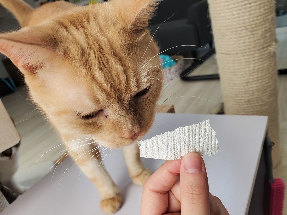 f:id:uxus:20201104123958j:plain