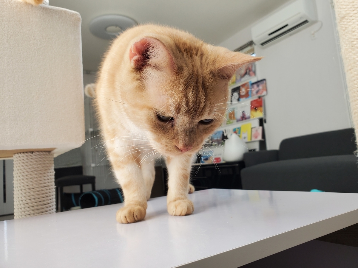 f:id:uxus:20201104124011j:plain