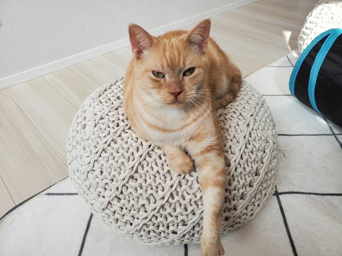 f:id:uxus:20201104130227j:plain