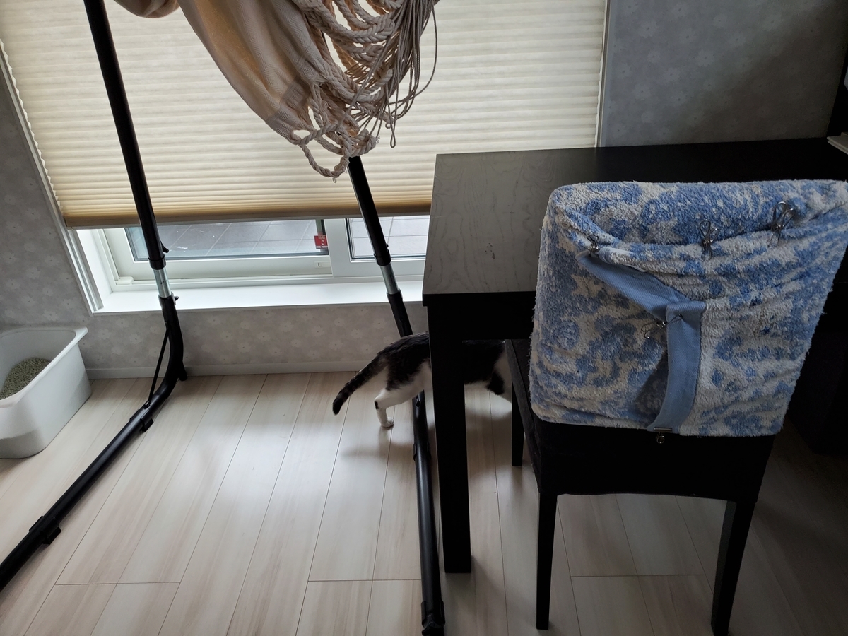 f:id:uxus:20210330071754j:plain