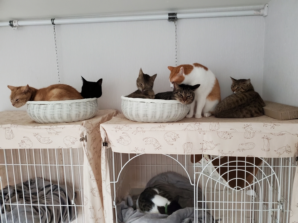 f:id:uxus:20210330191510j:plain