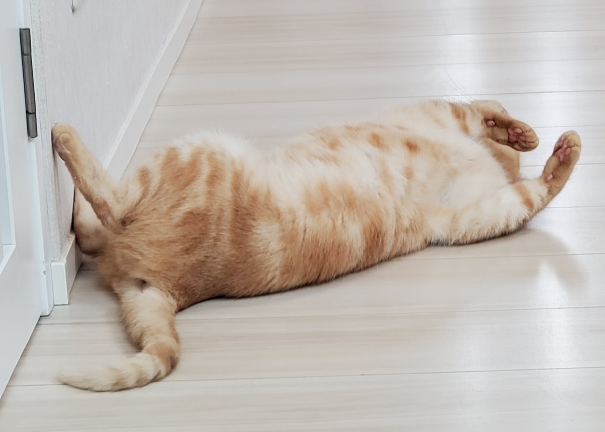 f:id:uxus:20210330214450j:plain