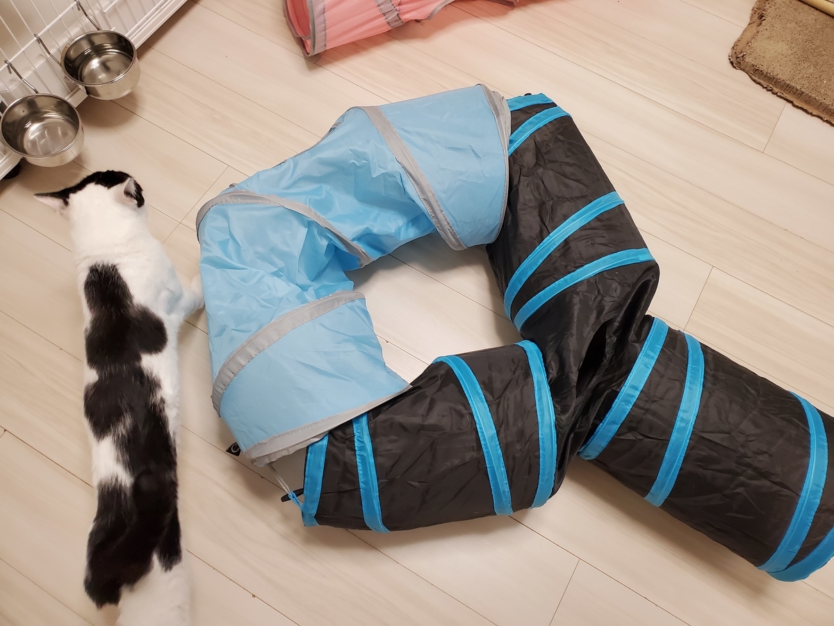 超歓迎 猫小屋藤編四季共通夏猫用品半閉鎖個性カタツムリ状ペット小屋