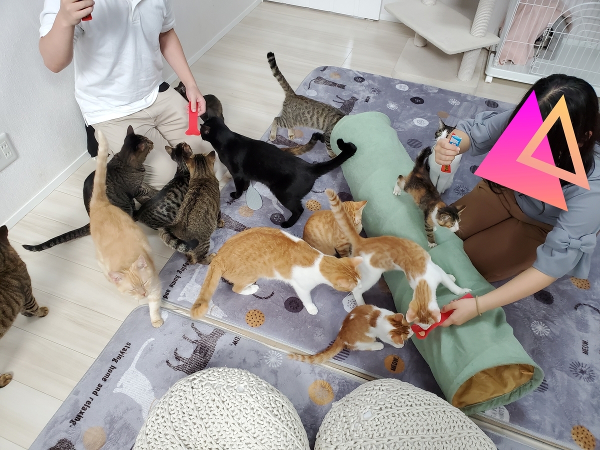 f:id:uxus:20210921121244j:plain