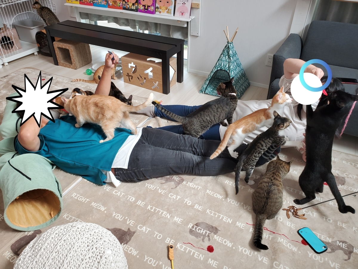 f:id:uxus:20210921121332j:plain