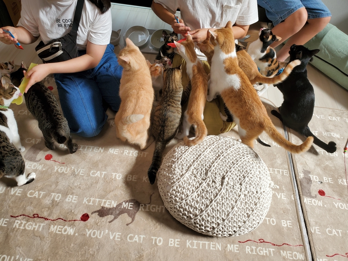 f:id:uxus:20210921121426j:plain