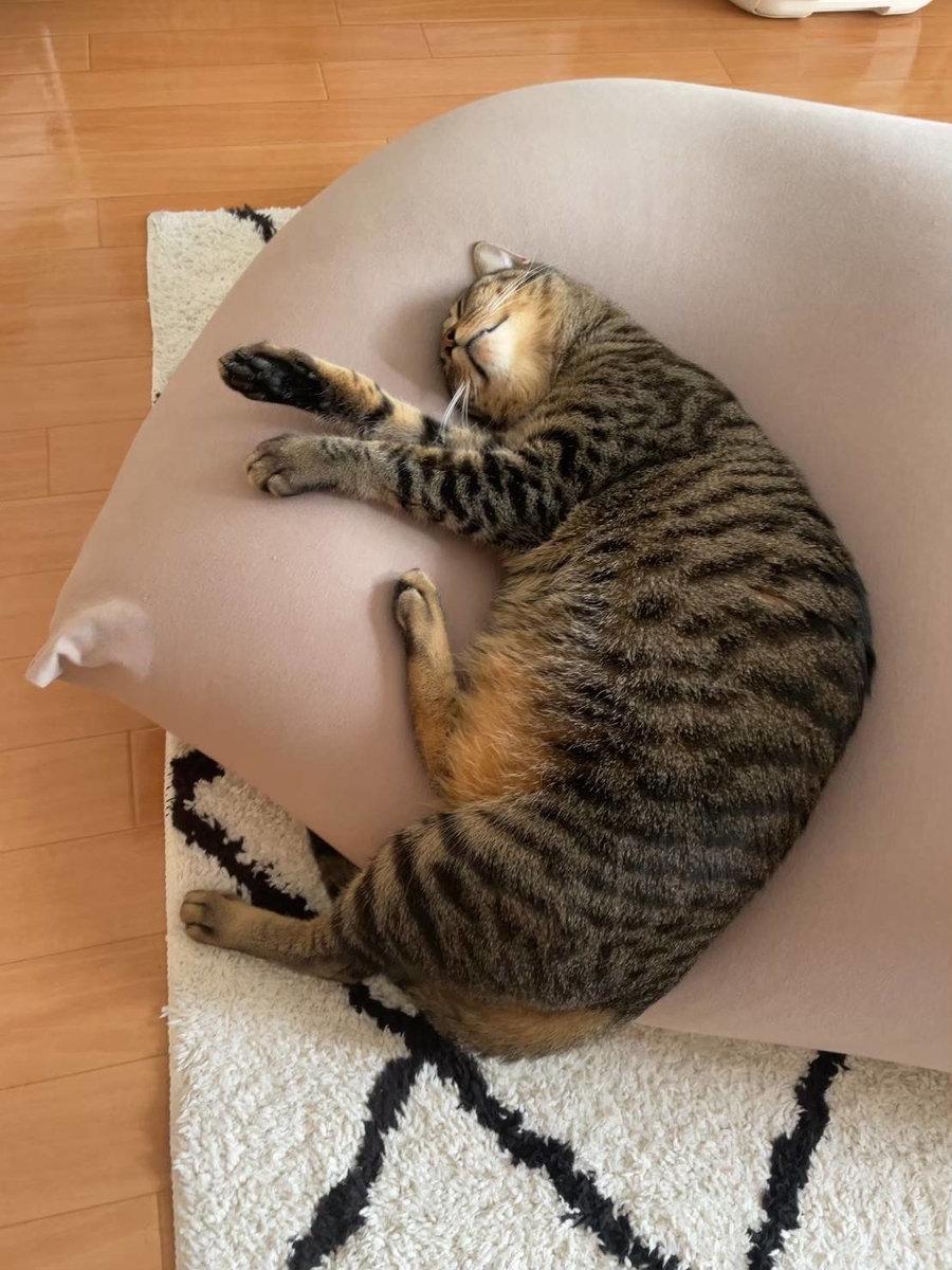 f:id:uxus:20211105081235j:plain