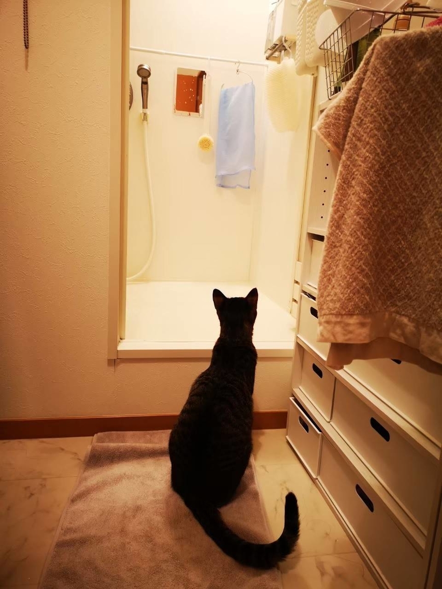 f:id:uxus:20211105081250j:plain