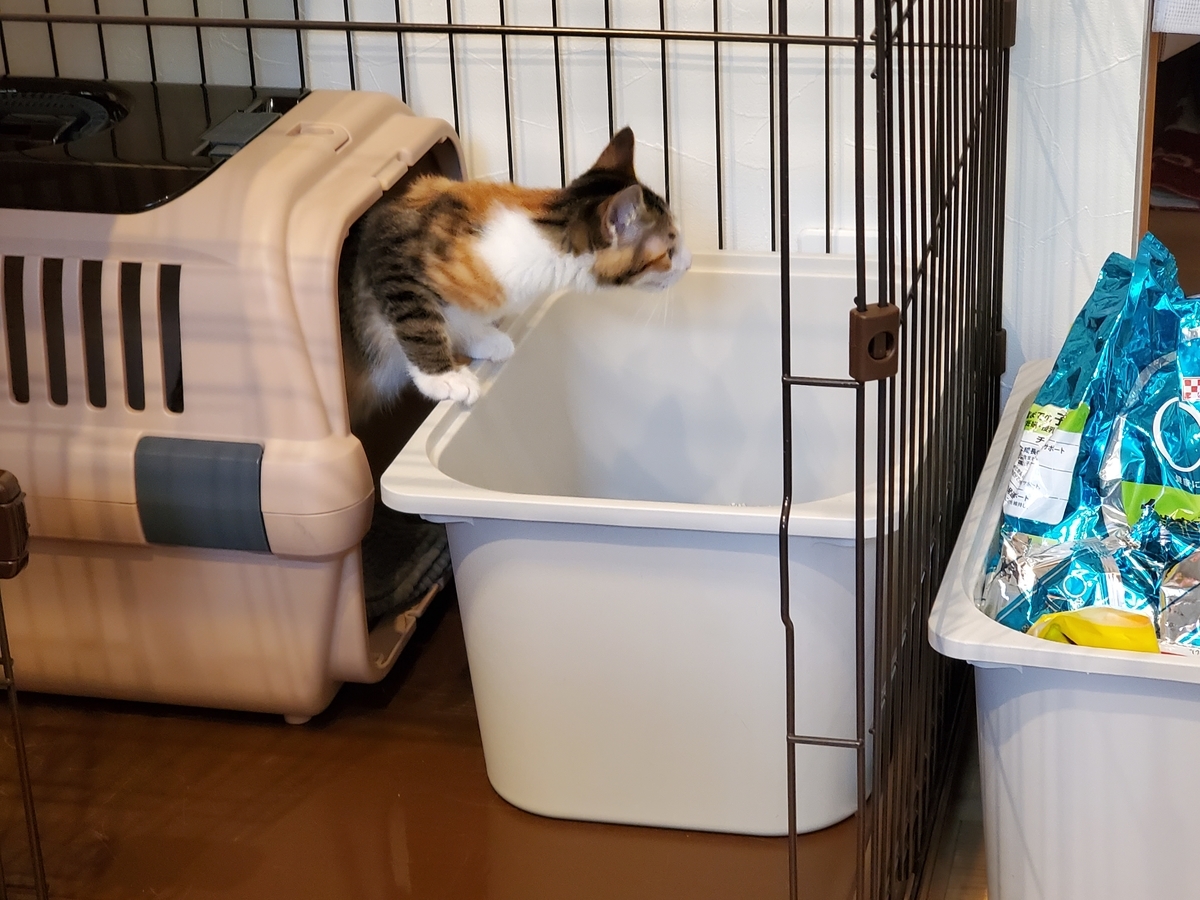 f:id:uxus:20211108102501j:plain