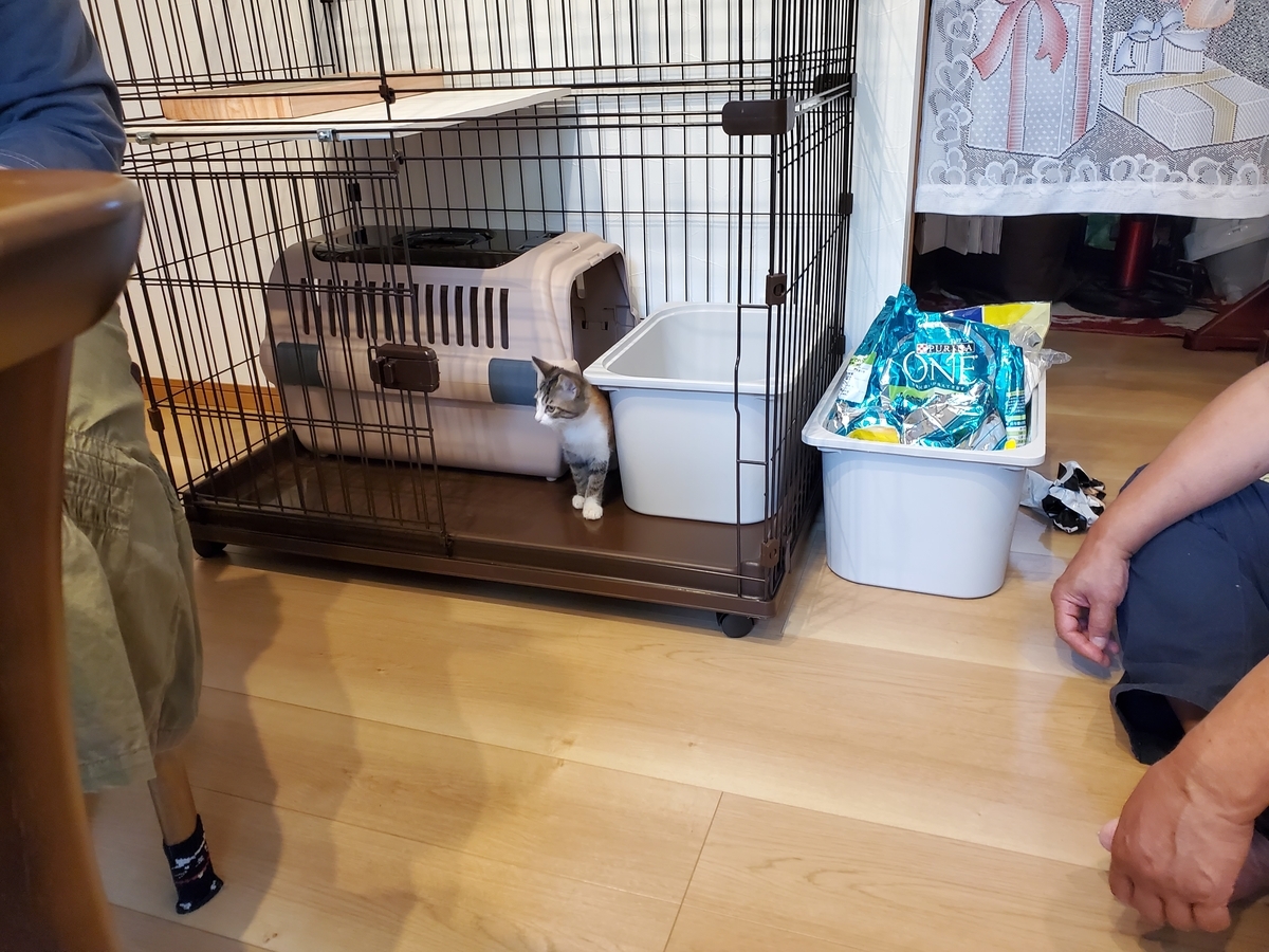 f:id:uxus:20211108110014j:plain