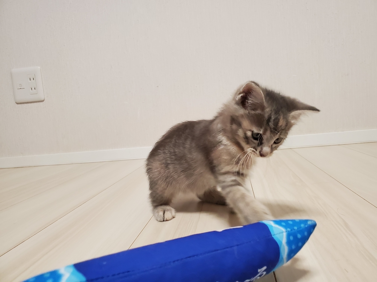 f:id:uxus:20211112012740j:plain