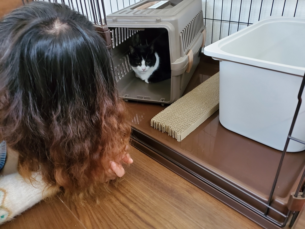 f:id:uxus:20211114145305j:plain