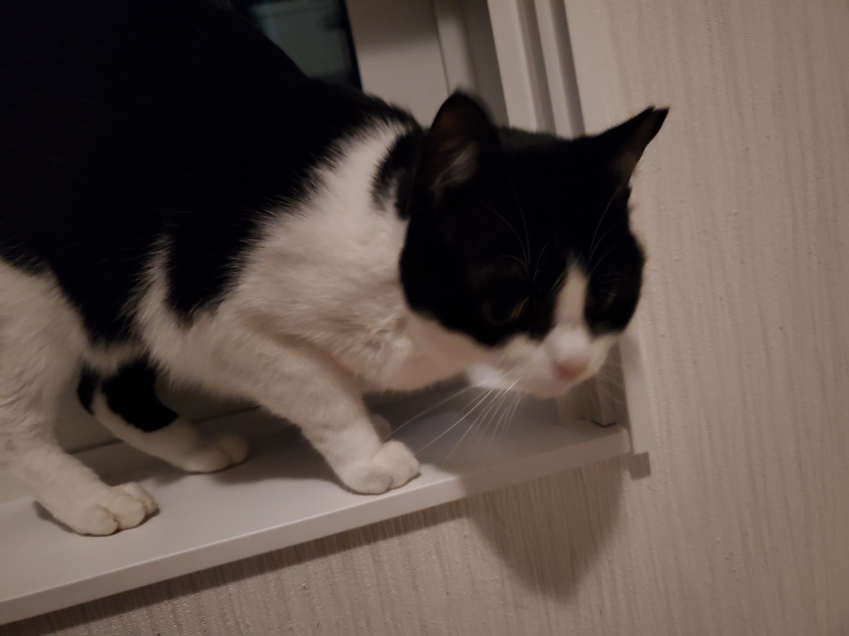 f:id:uxus:20211114150315j:plain