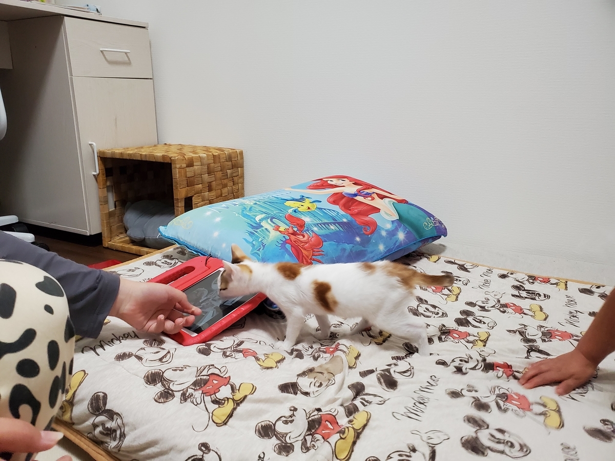 f:id:uxus:20211116143739j:plain