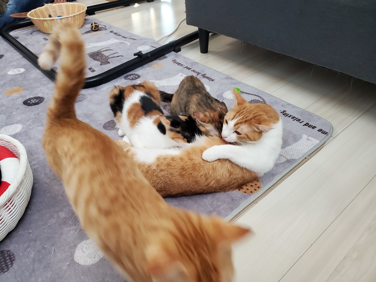 f:id:uxus:20211129122353j:plain