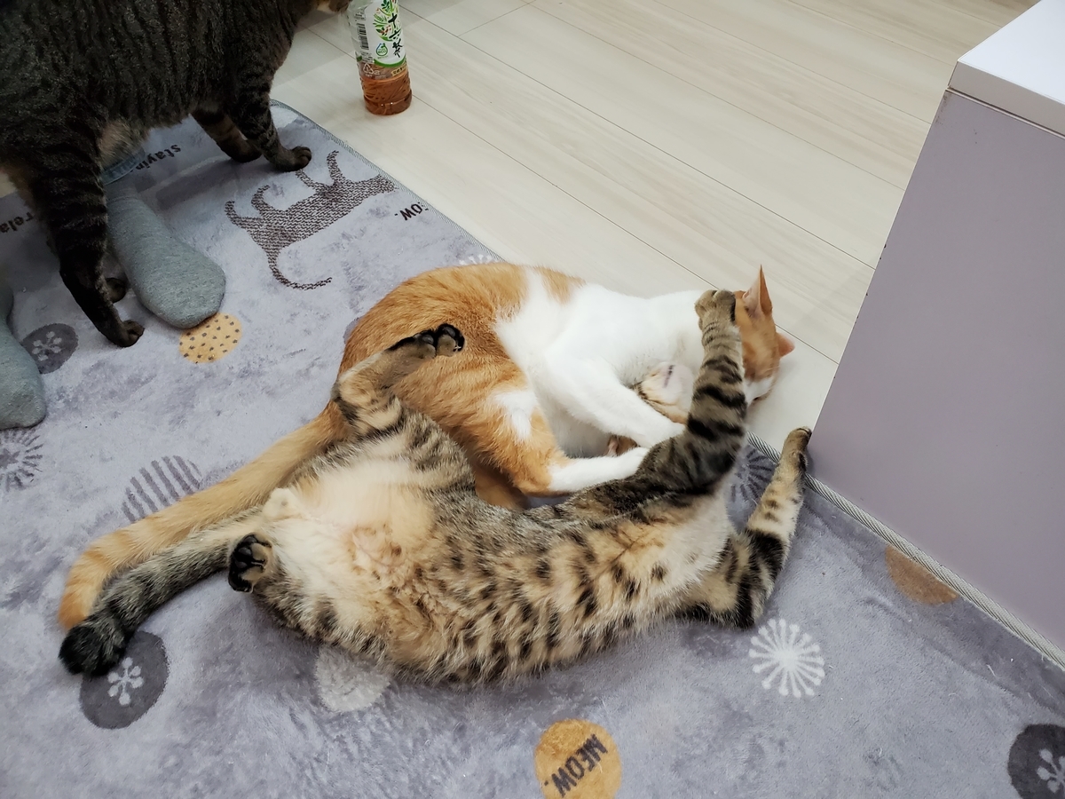 f:id:uxus:20211129233806j:plain