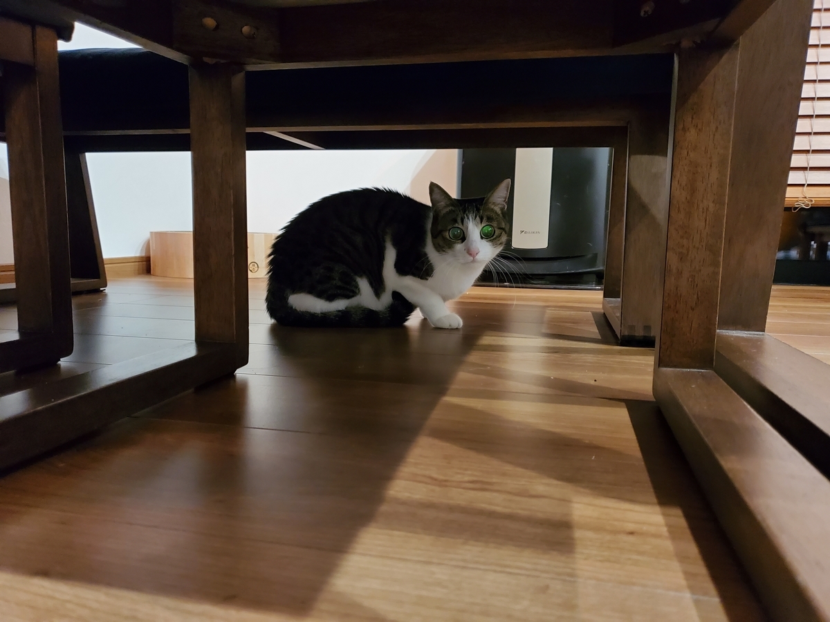 f:id:uxus:20211228073930j:plain