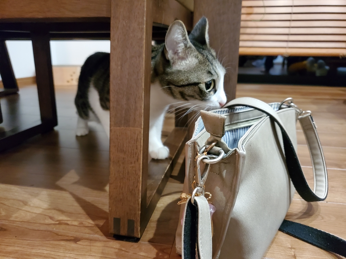 f:id:uxus:20211228074132j:plain