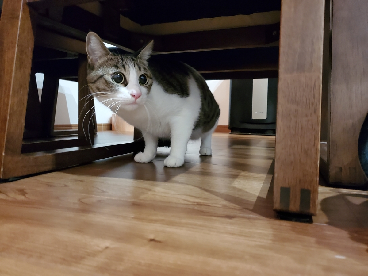 f:id:uxus:20211228074219j:plain