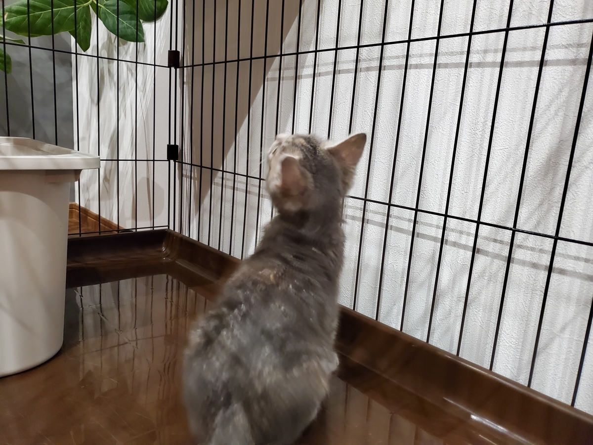 f:id:uxus:20211228074556j:plain