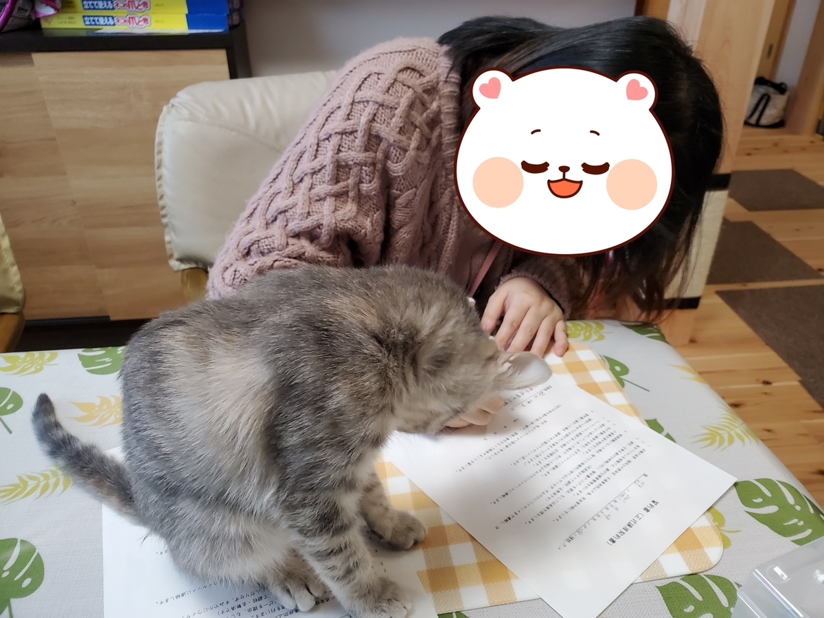 f:id:uxus:20220309153124j:plain