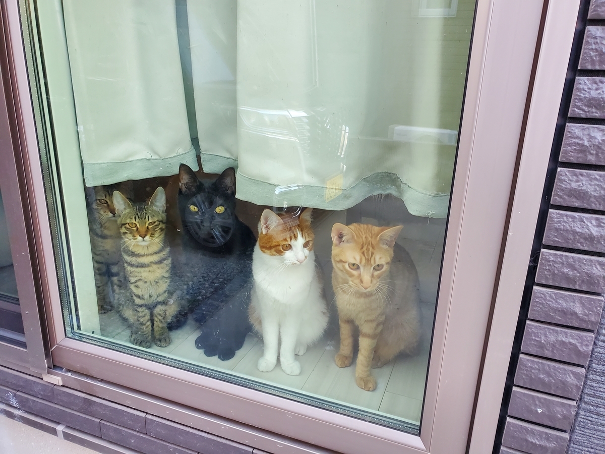 f:id:uxus:20220323201851j:plain