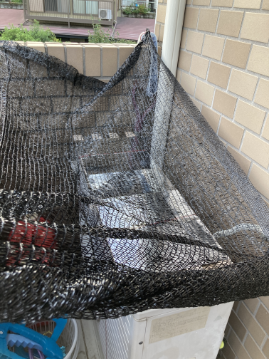 f:id:uyT4vEne:20210808191117p:plain