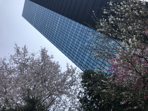 f:id:uyuajumma:20180413230539j:plain f:id:uyuajumma:20180413230539j:plain